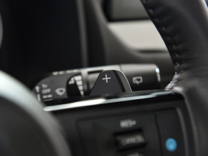 2021VC-Turbo 300 CVT 4WD п؅^