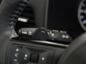 2021VC-Turbo 300 CVT 4WD п؅^