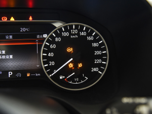 2021VC-Turbo 300 CVT 4WD п؅^