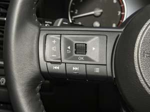 2021VC-Turbo 300 CVT 2WDA 7 п؅^