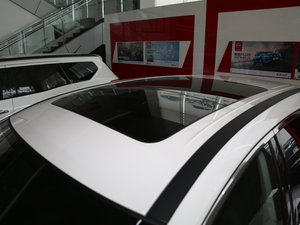 20212.5L XL Plus IȰ ܇