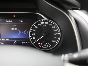 20212.5L XL (q)(lin)A п؅^(q)