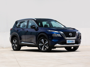2021款VC-Turbo 300 CVT 4WD至尊版 整体外观