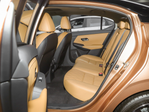 2022܎ݡ(q) e-POWER AUltra g