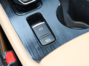 2022܎ݡ(q) e-POWER AUltra v܇Ƅ