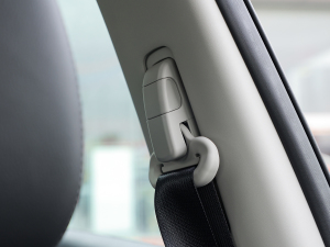 2022sҫ 2.0L (q)(lin) g