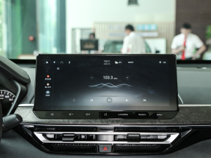 20222.0L XL-TLS  п؅^