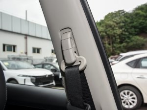 2023sҫ 2.0L (q)(lin) g