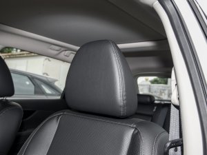 2023sҫ 2.0L (q)(lin) g