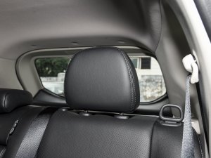 2023sҫ 2.0L (q)(lin) g