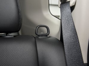 2023sҫ 2.0L (q)(lin) g