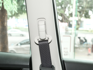 2023sҫ 2.0L (lin) g