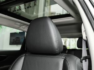 2023sҫ 2.0L (lin) g