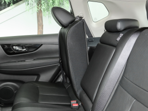 2023sҫ 2.0L (lin) g