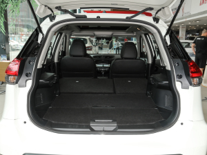 2023sҫ 2.0L (lin) g