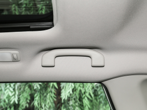 2023sҫ 2.0L  п؅^