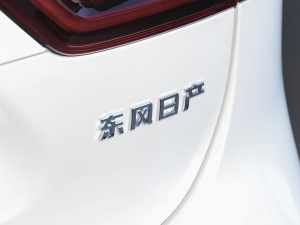 2023(jng) 2.0L XV CVTm (ji)^