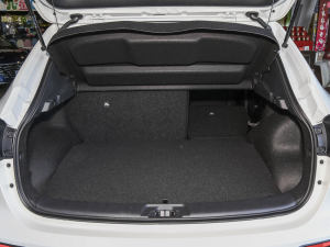 2023 2.0L XV CVTm g