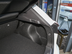 2023 2.0L XV CVTm g