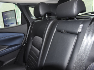 20231.3T CVTI(lng) g