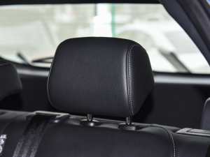 20231.3T CVTI(lng) g