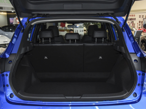 20231.3T CVTI(lng) g