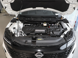 2025款荣誉 2.0L CVT XV真心版 其它