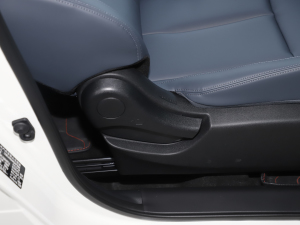 2025su(y) 2.0L CVT XVİ g