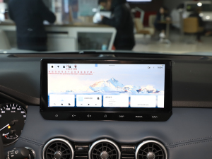 2025su 2.0L CVT XVİ п؅^