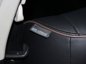 2014 2.5XV VIPI g