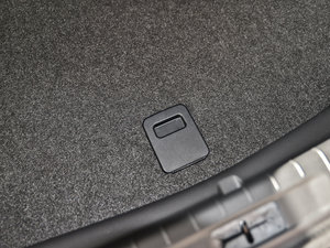 2014 2.5XV VIPI g