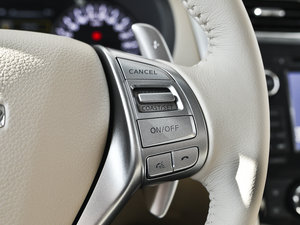 2014 2.5XV VIPI п؅^(q)