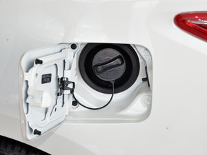 20152.0L XL- Sporty W\(yn)Ӱ (x)(ji)^