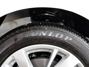 20152.0L XL- Sporty W\Ӱ ݆̥Ʒ