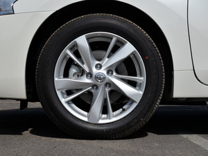 20152.0L XL Upper WڿƼ ݆Ȧ