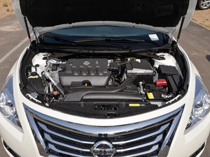 20152.0L XL Upper WڿƼ l(f)(dng)C(j)