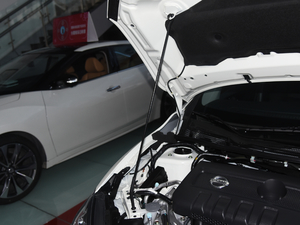 2016款1.6L CVT智尊版 其它