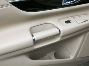 2016 2.5L XV-VIPŞ g