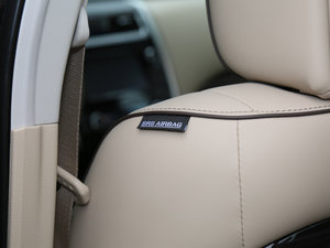 2016 2.5L XV-VIPŞ g