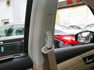 2016 2.5L XV-VIPŞ g