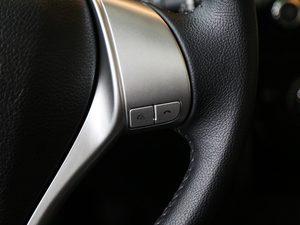 20172.0L XV Prem CVTA п؅^