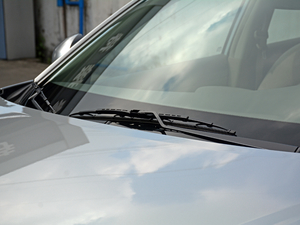 2018(jng) 1.6XE CVTm (gu)V ˢ