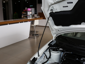 2019款经典 1.6XE+ CVT智联领先版 国V 其它
