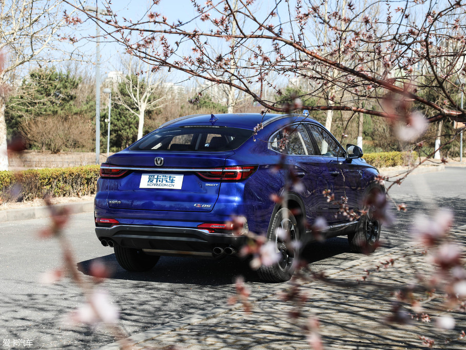 2019LCS85 COUPE 2.0T ǰ V