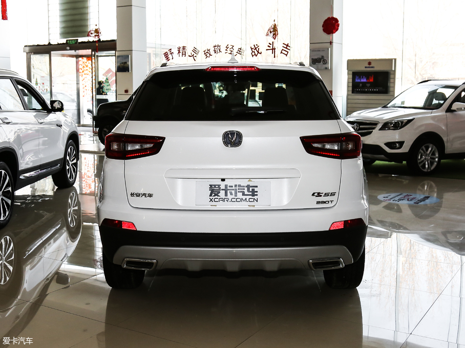 2018LCS55 1.5T Ԅſ V