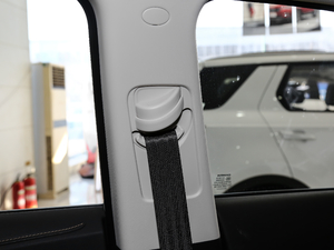 20181.6L Ԅ(dng)(lin) V g