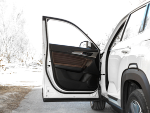 20181.6L Ԅ(lin) V g