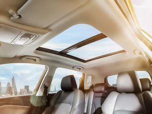 20191.5L Ԅ(dng)Ş V g