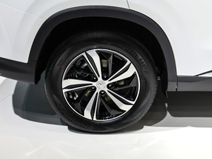 20201.5T ԄF (x)(ji)^