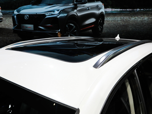 20201.5T ԄF (x)(ji)^